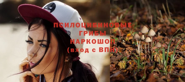 эйфоретик Алзамай