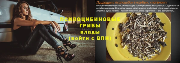 эйфоретик Алзамай